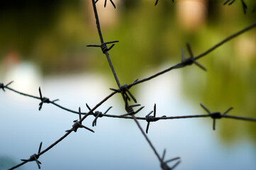 crossing the barbed wire against the background of nature