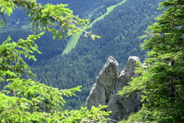 rock formation in the foest