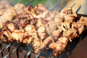 Barbecue meat on skewers. kebab on open grill.