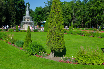 Green garden with grass. Summer courtyard with lawn. Beautiful summer landscape landscape park. Nature for background on postcard. Park in Peterhof, St. Petersburg, Russia, July 23, 2017