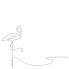 Flamingo birds animal, vector illustration