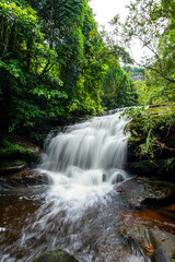 Obraz premium Beautiful waterfalls in the green forest in the forest area of ​​Phu Lanka National Park, Bueng Kan Province, Thailand