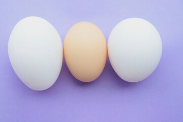one organic chicken egg vs two farm layer hen eggs on either side. brown egg and white egg of hens with blue background.