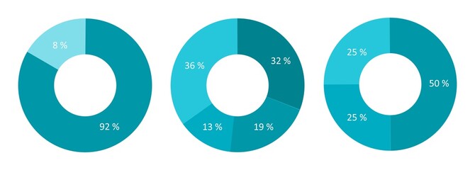 Set circle diagram vector illustration in flat design. Template for diagram, graph, presentation.