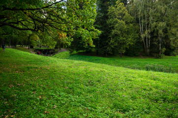 Green garden with grass. Summer courtyard with lawn. Beautiful summer landscape landscape park. Nature for background on postcard.