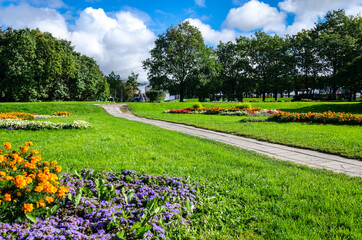 Obraz premium Green garden with grass. Summer courtyard with lawn. Beautiful summer landscape landscape park. Nature for background on postcard.