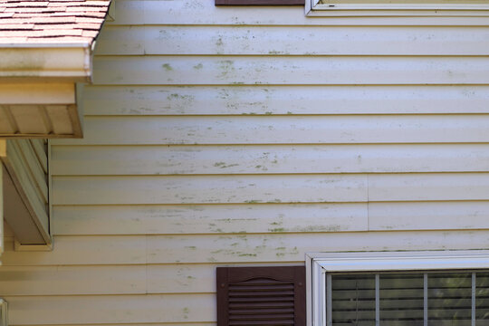 An Image Of Green Mold On Vinyl Siding On The Exterior Of A Residential Home