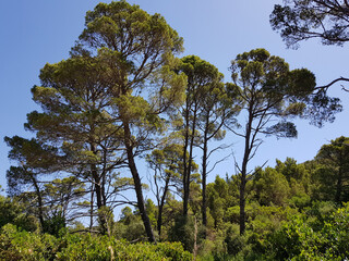 Paesaggio