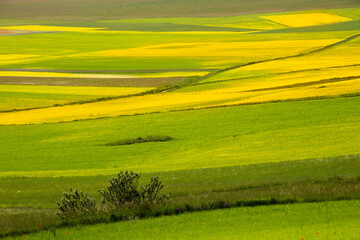 Agricultural valley with colorful fields in summer