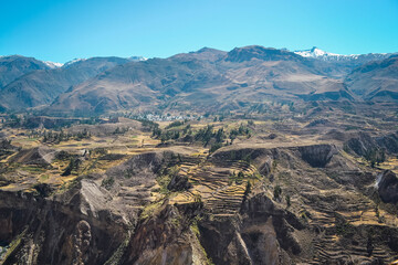 Fototapeta premium Cañon del colca uno de los cañones mas profundos del mundo.