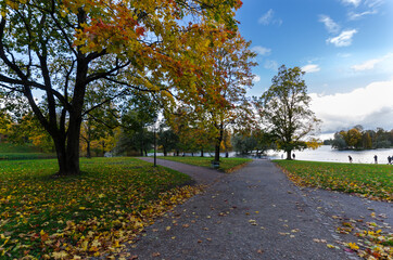 Naklejka premium Autumn leaves in the trees