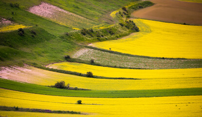 Agricultural valley with colorful fields in summer
