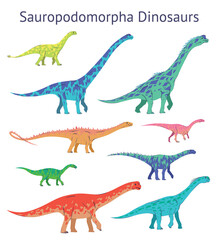 Set of sauropodomorpha dinosaurs. Colorful vector illustration of dinosaurs isolated on white background. Side view. Sauropods. Proportional dimensions. Element for your desing, blog, journal.