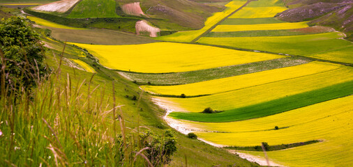 Agricultural valley with colorful fields in summer