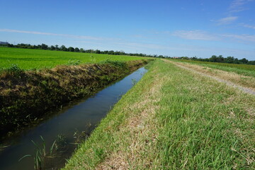 Vita all'area aperta 