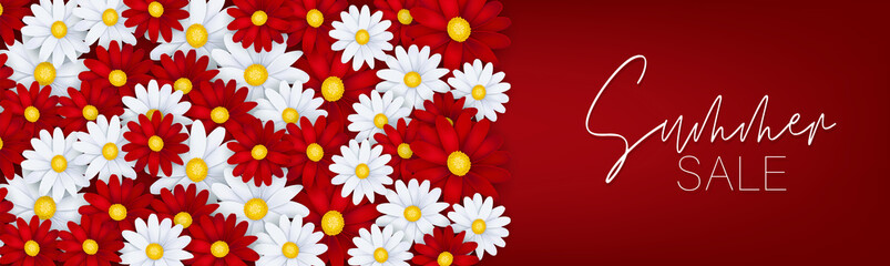 Summer sale banner or header. White and red daisy flowers. Promo design concept. Realistic vector illustration with lettering.