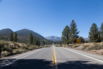 Fototapeta premium carretera de parque nacional de yosemite en EEUU