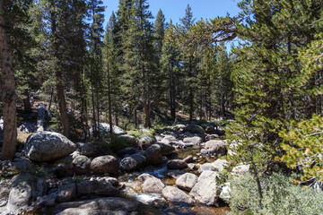 Obraz premium paisaje del rio de parque nacional de yosemite en EEUU