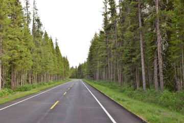 Summer road trip in the Canadian Rockies