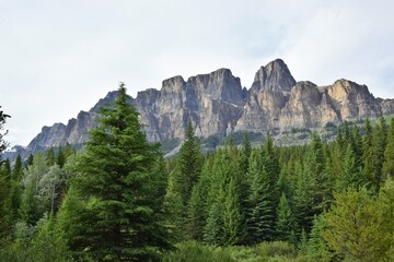 Fototapeta na wymiar Canadian Rockies Mountain from national park
