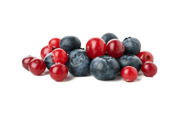 Fresh cranberry and blueberry isolated on white background