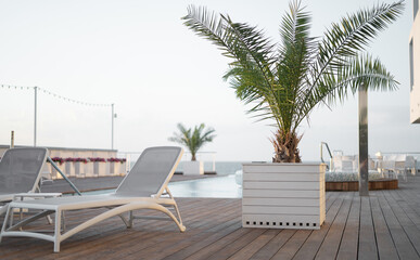 Hotel swimming pool with empty sun loungers. space for text, copy space