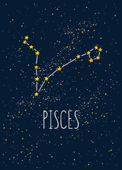 Fototapeta premium Zodiac constellation on the night sky background