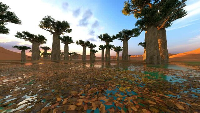 Avenue of the Baobabs amazing sky