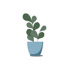 vector illustration of ficus in a pot. Green houseplant