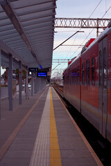 Peron. © Aleksandra