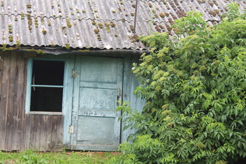 old house in the woods