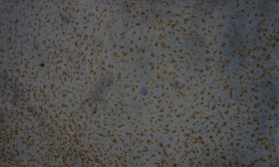 Obraz premium art , The shadow of the cement wall surface , texture , backgrounds for design