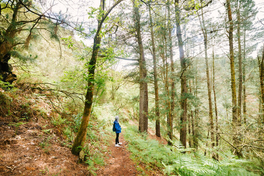 Side view of faceless traveler with backpack standing in highland woods among tall trees and enjoying landscape of Hoces del Esva