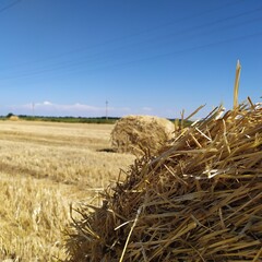 Fototapeta na wymiar A straw stack and a moun field of wheat
