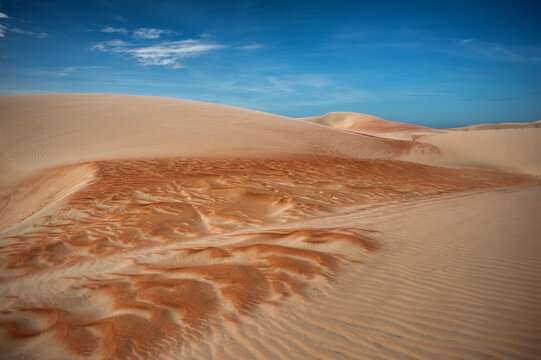 Close-up of a dune on a sunny day