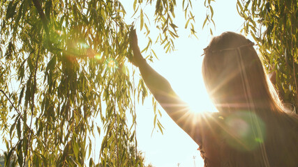 Girl spreads willow branches in the sun. © Довидович Михаил