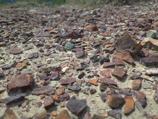 stones in the forest