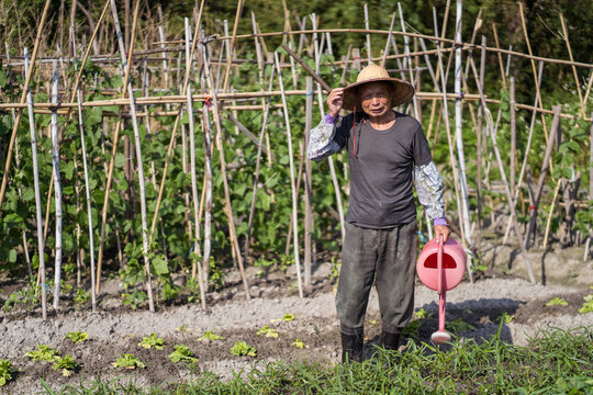 Full body middle aged Asian man in traditional oriental straw hat looking at camera and using watering pot while pouring green plants growing in garden in Taiwan