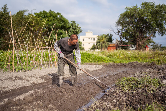 Focused Asian man in casual clothes and boots cultivating wet soil using hoe before planting in garden in Taiwan