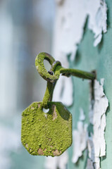 Holiday summer resort Izumrudnoe Emerald in Prypiat, Chernobyl exclusion Zone. Chernobyl Nuclear...