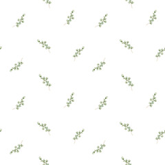 Watercolor sprigs of eucalyptus on a white background, watercolor seamless pattern