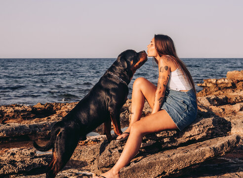 Side view of trendy tattooed woman sitting on stone and kissing Rottweiler dog while spending time on rocky seashore