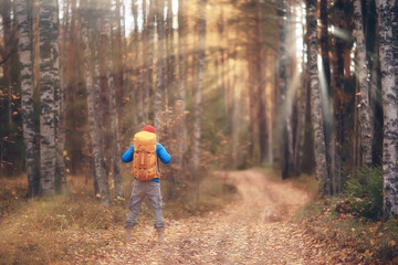 Fototapeta premium autumn hike with a backpack, sun rays, autumn landscape, a man in the forest glare of light sunset