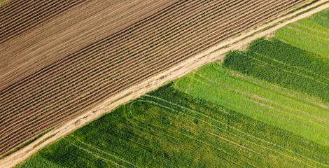 Green fields from the top