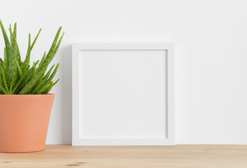 White square frame mockup with a aloe vera in a ceramic pot on a wooden table.