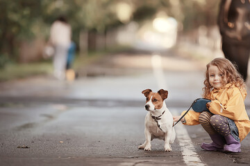 little girl with a dog jack russell terrier / child childhood friendship, pet, small dog in the autumn park walk