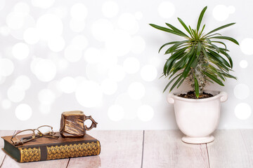 Books backgrounds. Closeup of an antique book with reading glasses and a brown clay mug on it and a cactus plant on a pink desk in front of abstract blurred bright background. Teachers day 