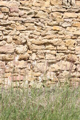 Alte Natursteinmauer historische Steinmauer,  gelb mit Gras und Blumen im Vordergrund
