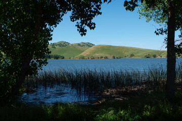 reflection of trees in water