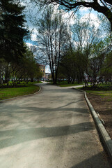 Fototapeta na wymiar The park area. Asphalt path with fork in the city park. Lawns with green grass and trees, clear sunny day